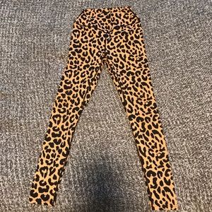 Balance Athletica Cheetah Pant
